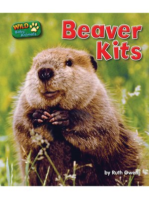 cover image of Beaver Kits